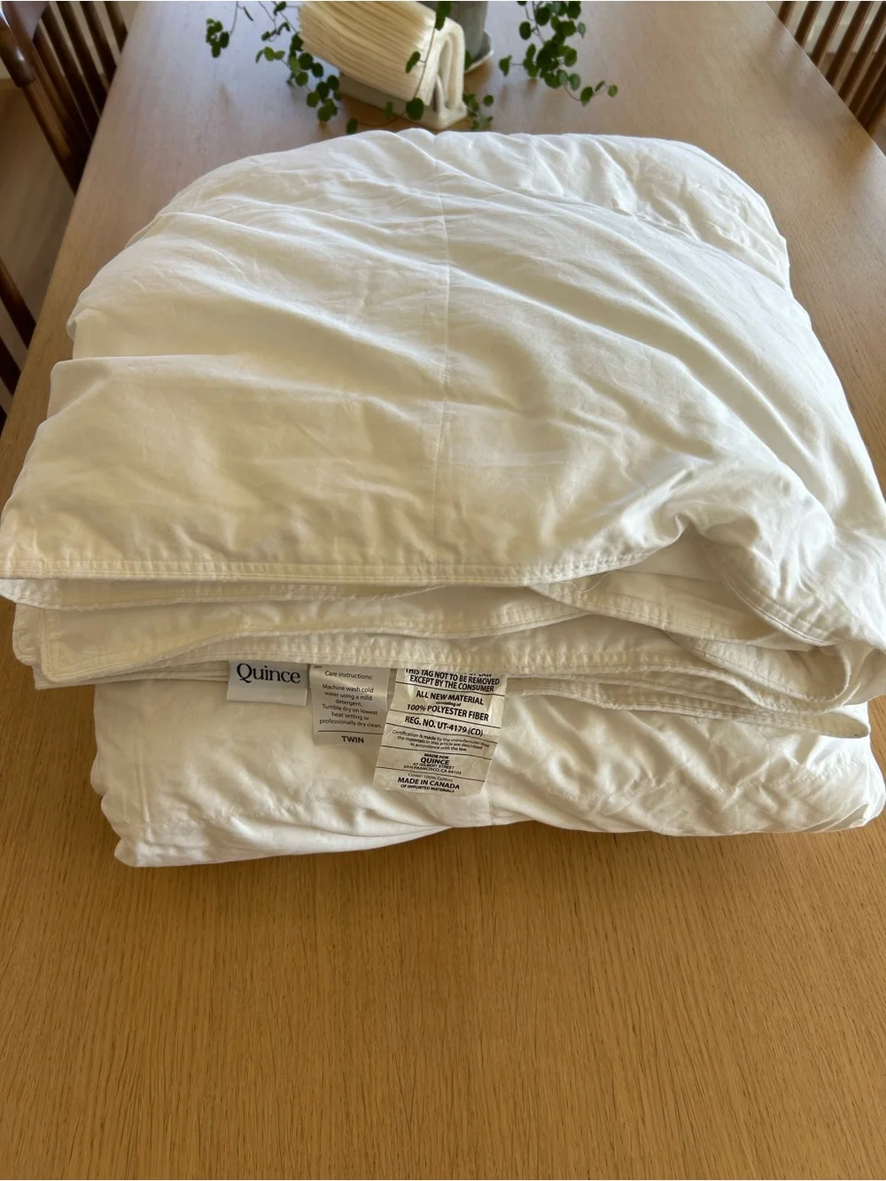 Quince Cream-White Down Alternative Comforter - All-Season Lightweight